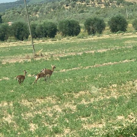 Casetta Tre Poderi Appartamento Papaveri Monte Cucco Екстер'єр фото