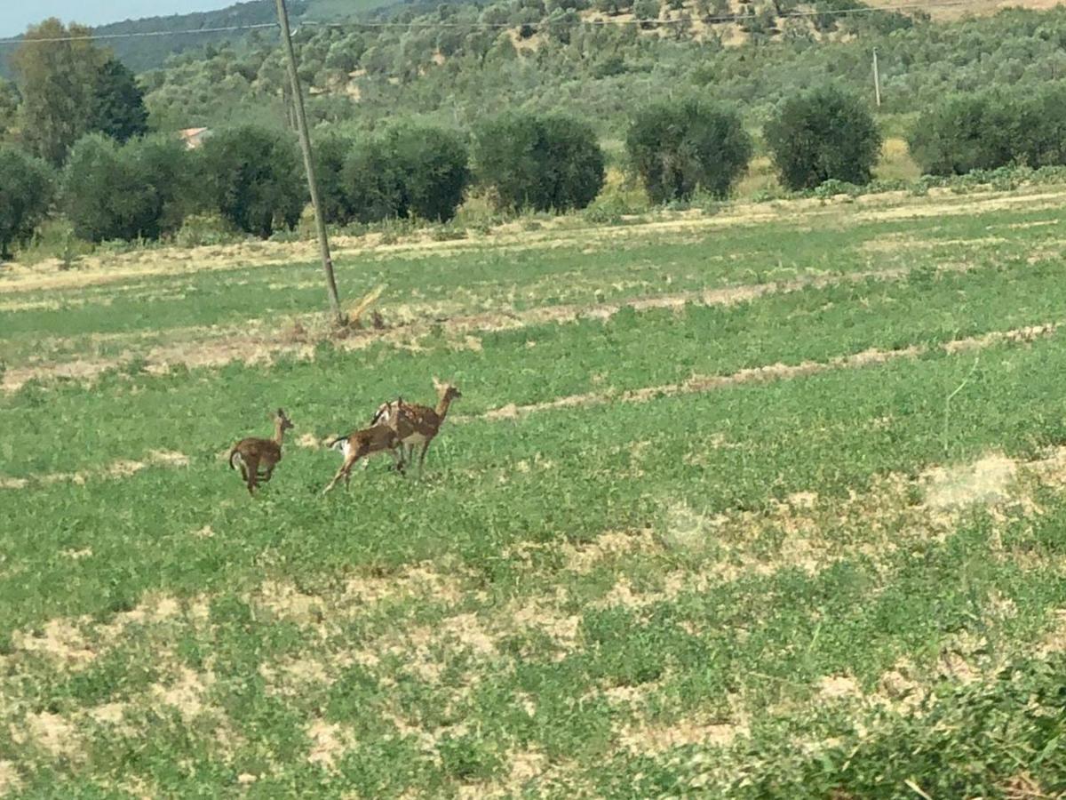 Casetta Tre Poderi Appartamento Papaveri Monte Cucco Екстер'єр фото